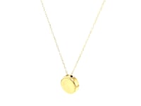 14k Yellow Gold Necklace with Dog Paw Print Symbol in Mother of Pearl